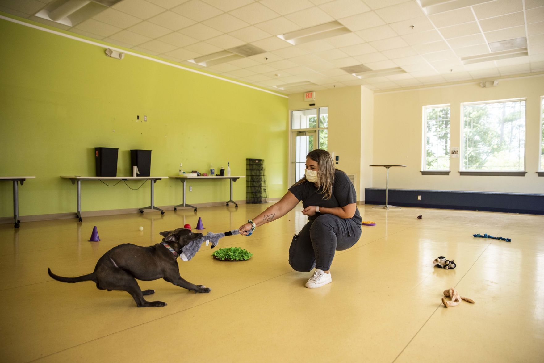 Lynchburg Humane Society